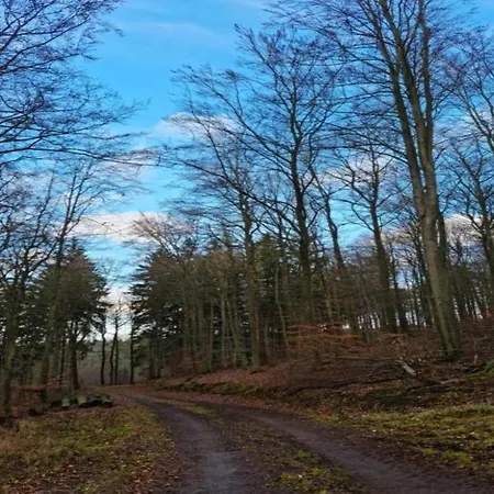 Quaint Near With Garden Poel