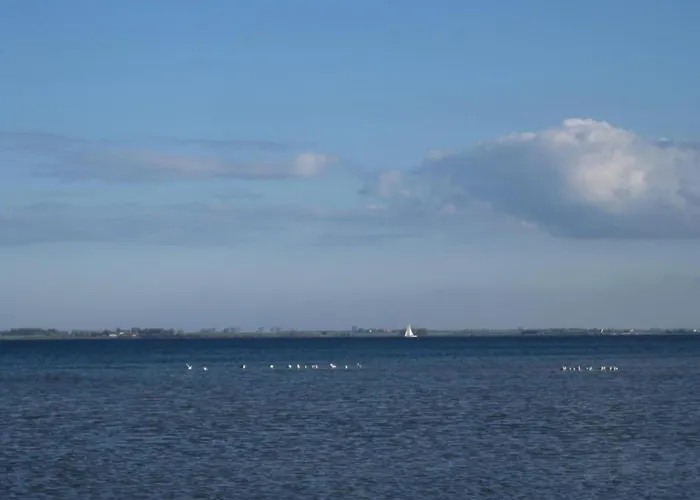 Quaint Near With Garden * Poel