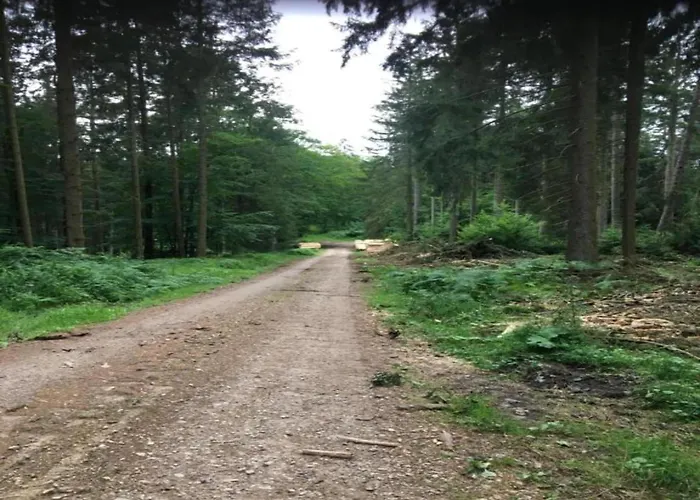 Feriehus Quaint Near With Garden Poel